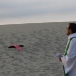 dunepyla4