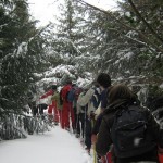 weski4