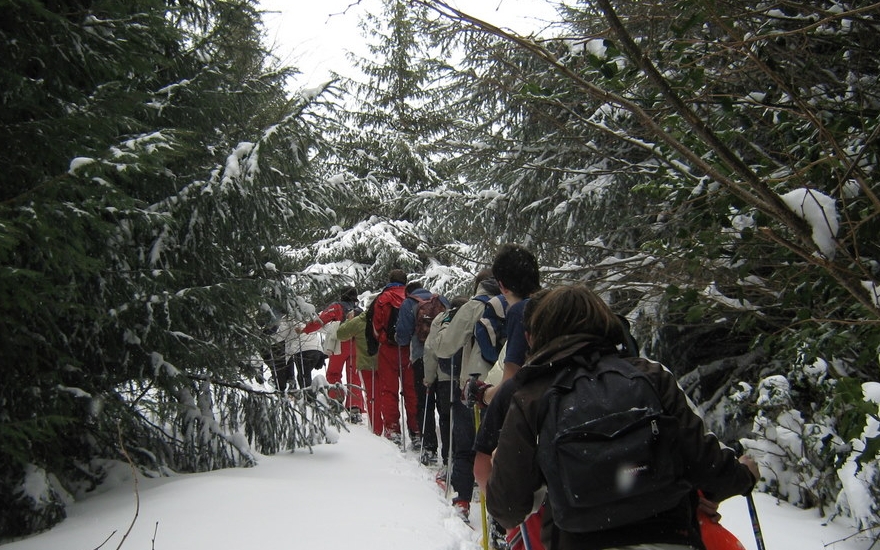 weski4